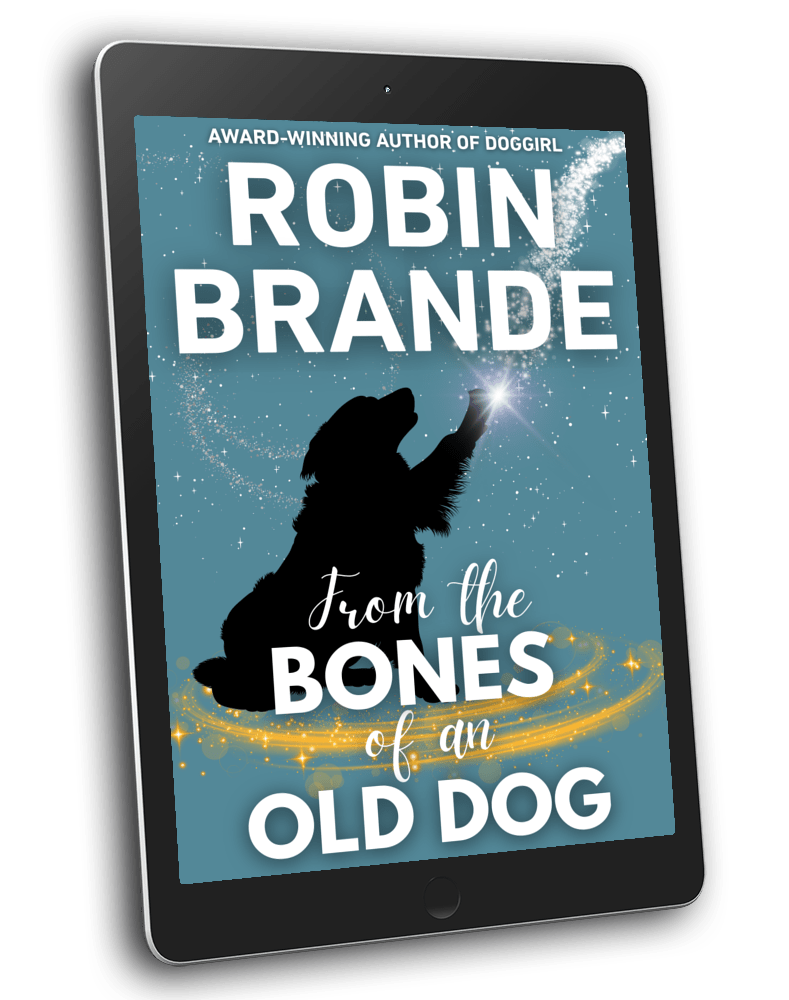 From the Bones of an Old Dog