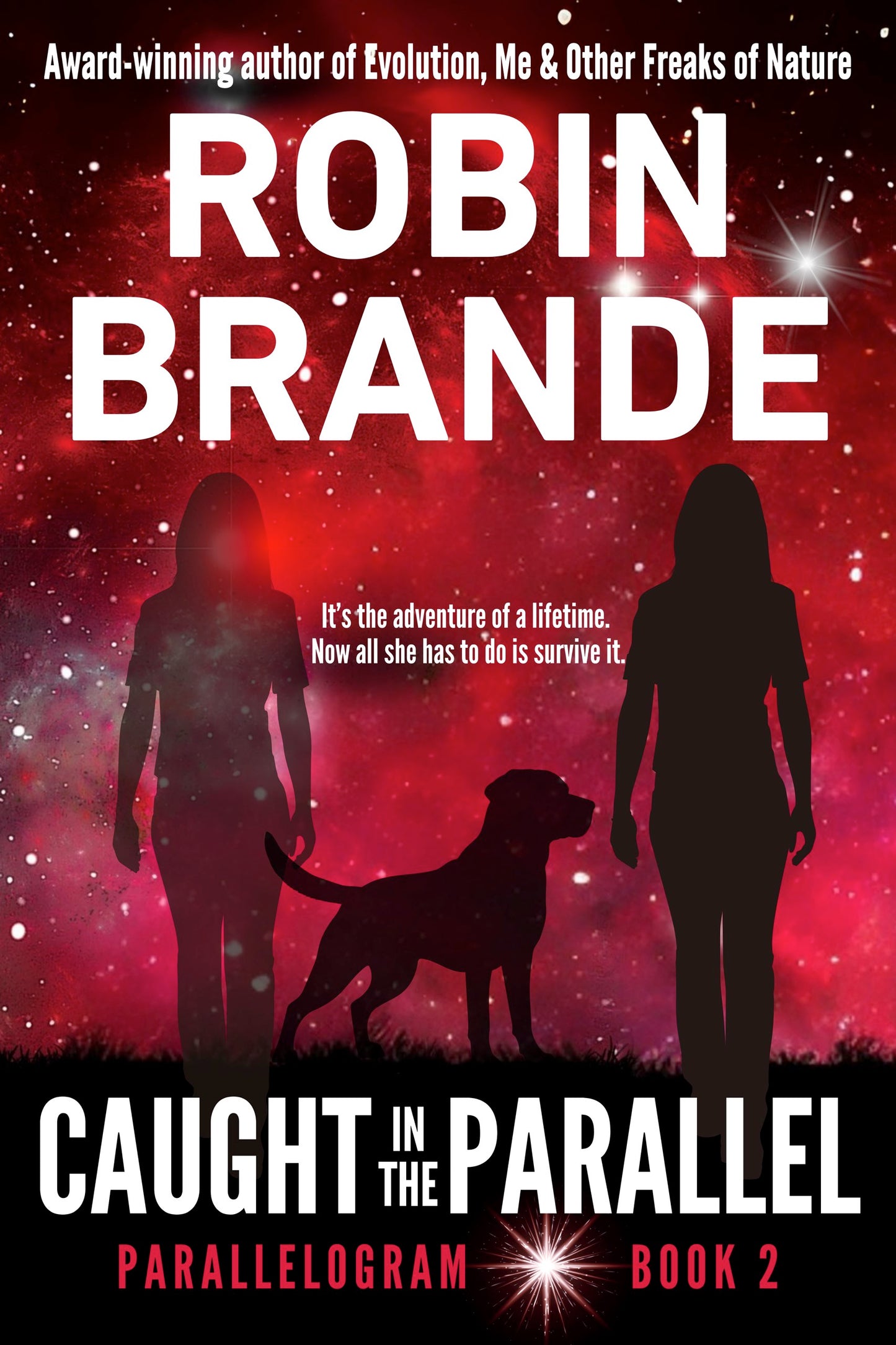 Caught in the Parallel (Parallelogram Quartet, Book 2)