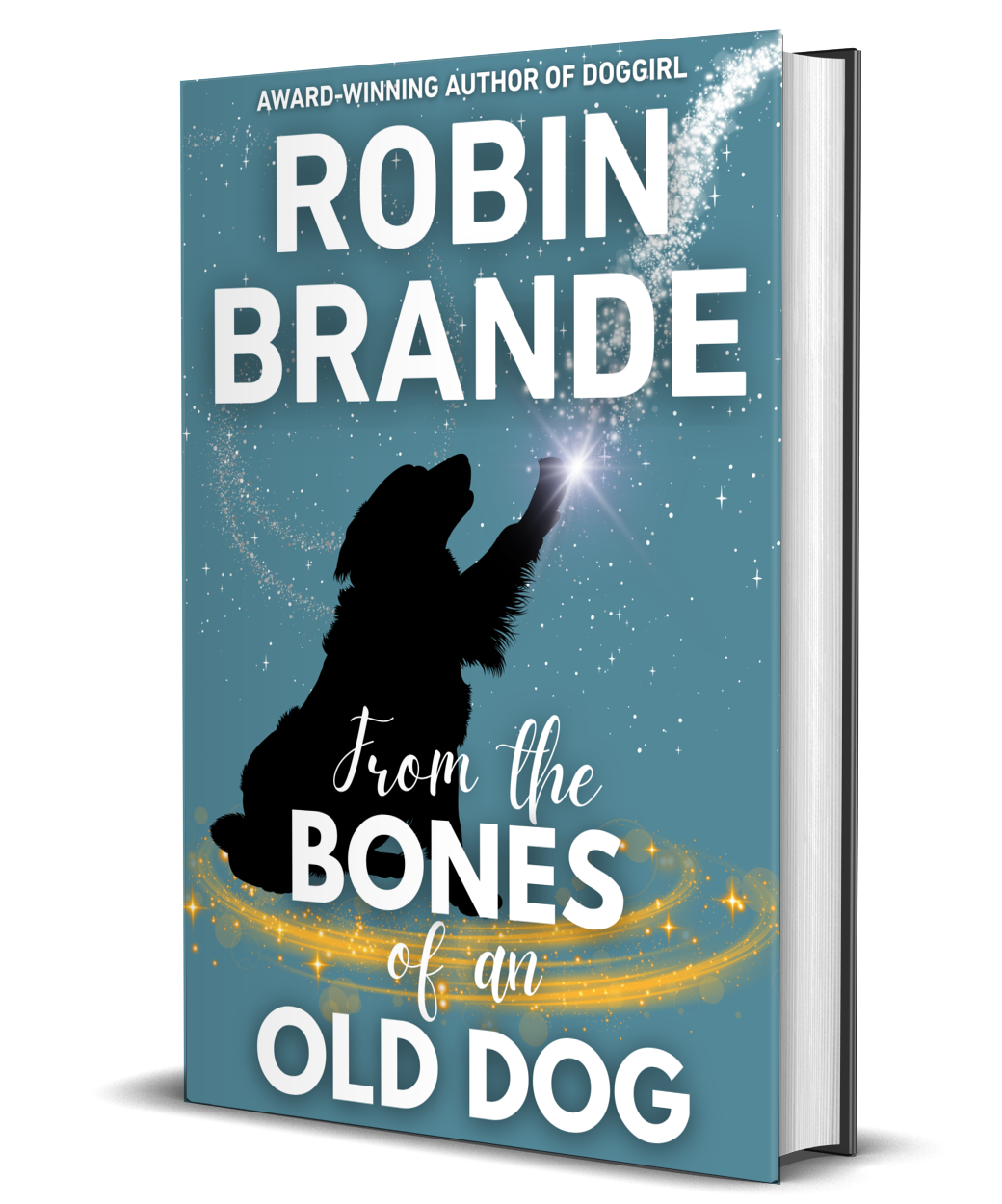 From the Bones of an Old Dog