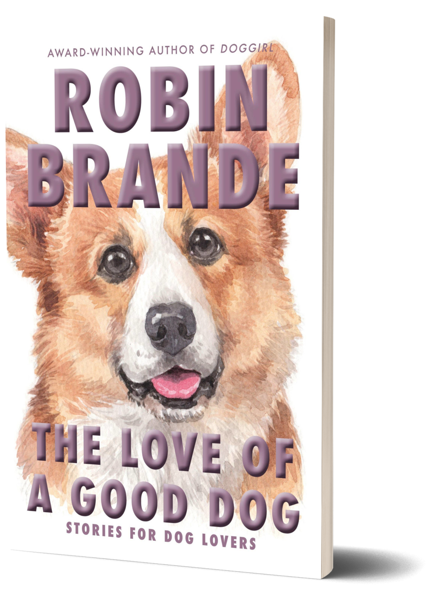 The Love of a Good Dog: Stories for Dog Lovers