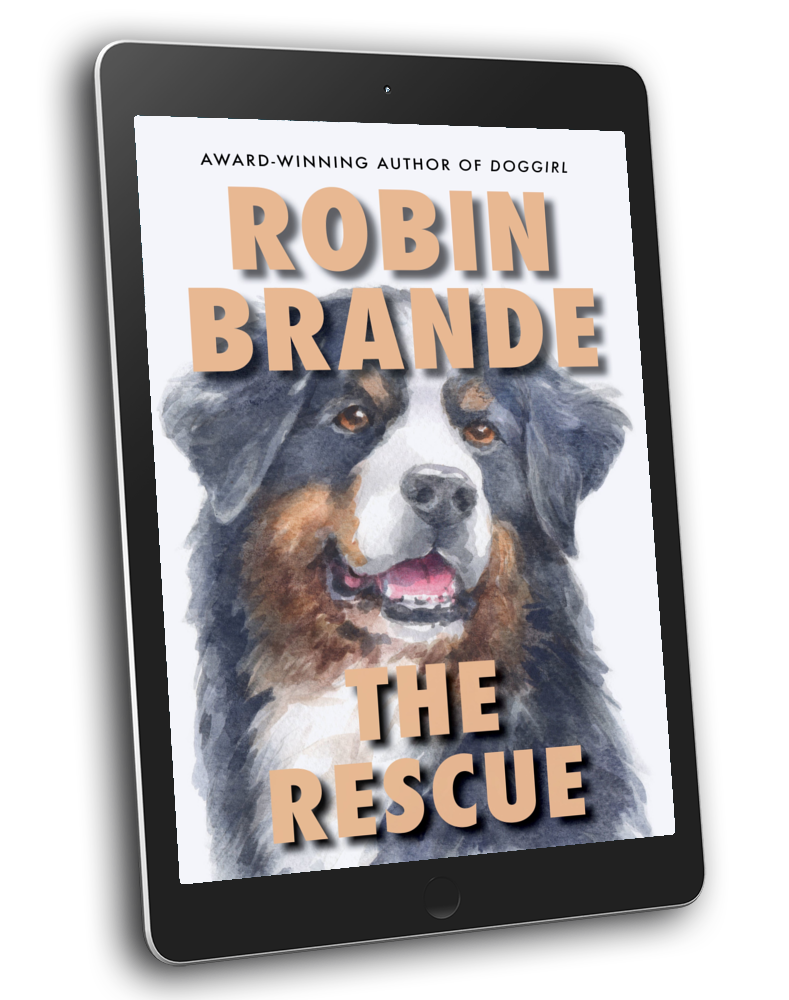 The Rescue